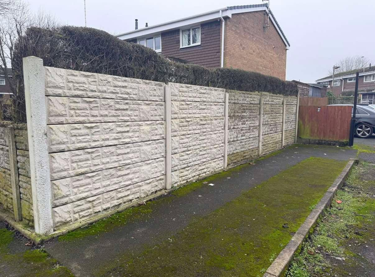 Pathway and concrete fence before cleaning